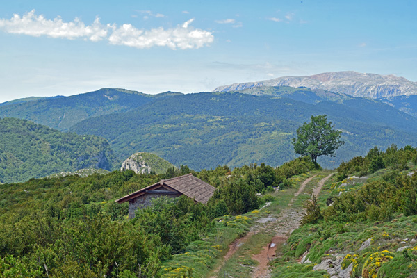 La imagen tiene un atributo ALT vacío; su nombre de archivo es bonansa-6.jpg